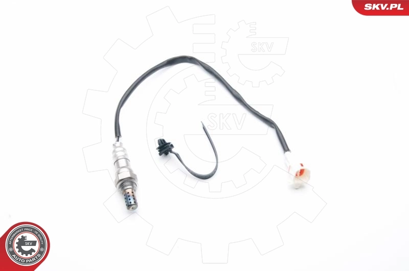 Oxygen Sensor